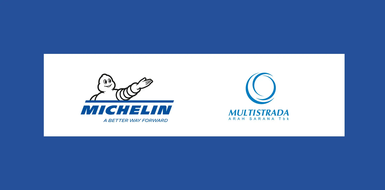 Michelin Tyre Manufacturer Multistrada